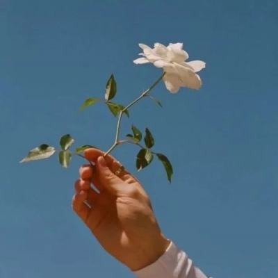 梦幻生肖最新版下载