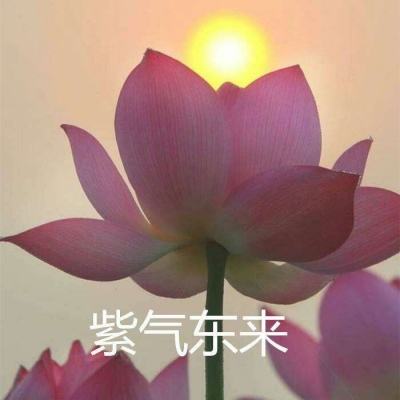 悬吊人世界破解版下载